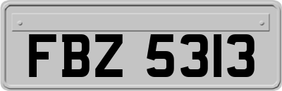 FBZ5313