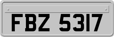 FBZ5317