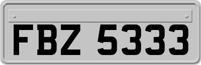 FBZ5333