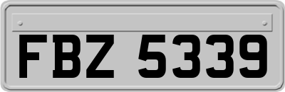 FBZ5339