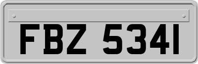 FBZ5341