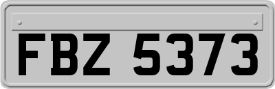 FBZ5373