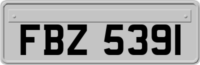FBZ5391
