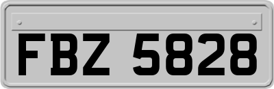 FBZ5828