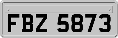 FBZ5873