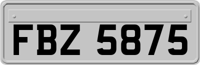 FBZ5875