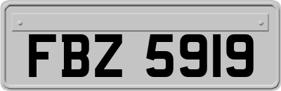 FBZ5919