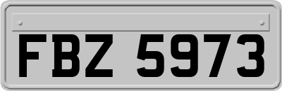FBZ5973