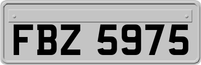 FBZ5975