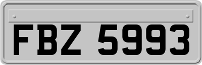 FBZ5993