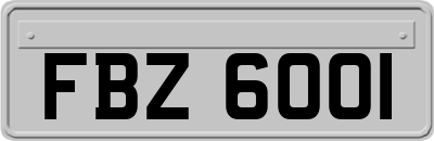 FBZ6001