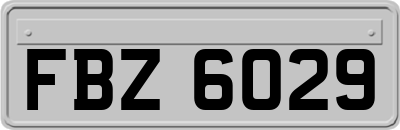 FBZ6029