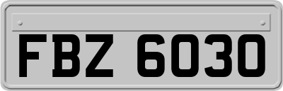 FBZ6030