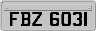 FBZ6031