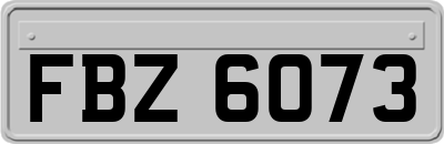 FBZ6073