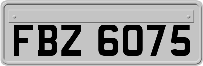 FBZ6075