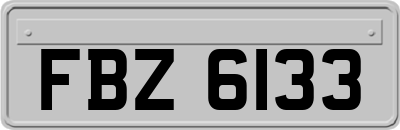 FBZ6133