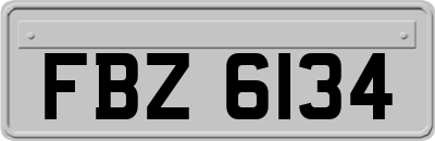 FBZ6134