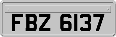 FBZ6137