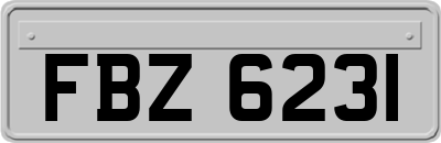 FBZ6231