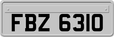 FBZ6310