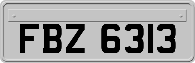 FBZ6313