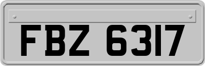 FBZ6317