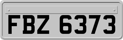 FBZ6373