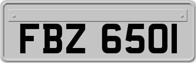 FBZ6501