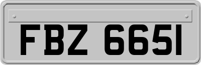 FBZ6651