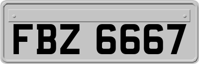 FBZ6667