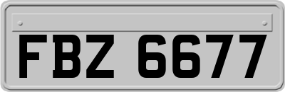 FBZ6677