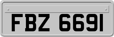 FBZ6691