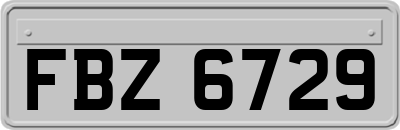 FBZ6729