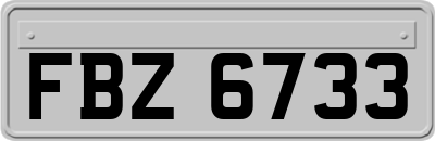 FBZ6733