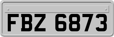 FBZ6873