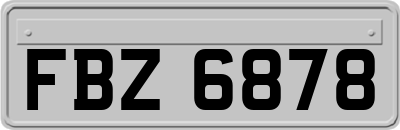 FBZ6878