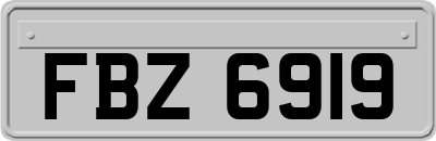 FBZ6919