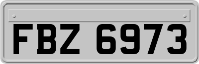 FBZ6973