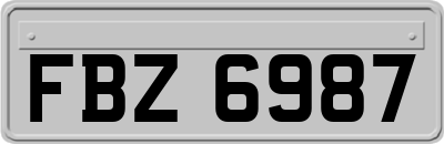 FBZ6987