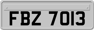 FBZ7013