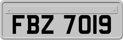 FBZ7019