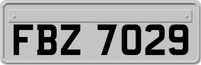 FBZ7029