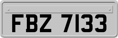 FBZ7133