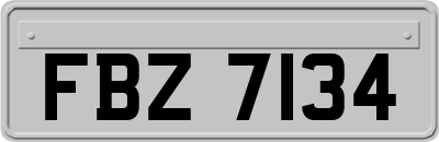 FBZ7134