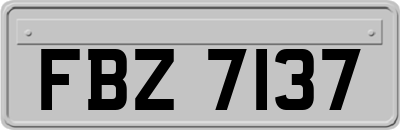 FBZ7137