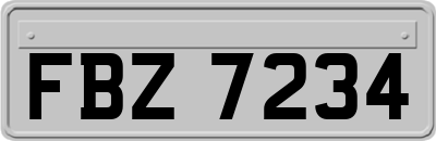 FBZ7234