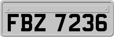 FBZ7236