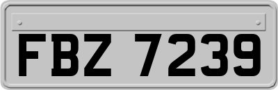 FBZ7239
