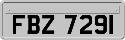 FBZ7291